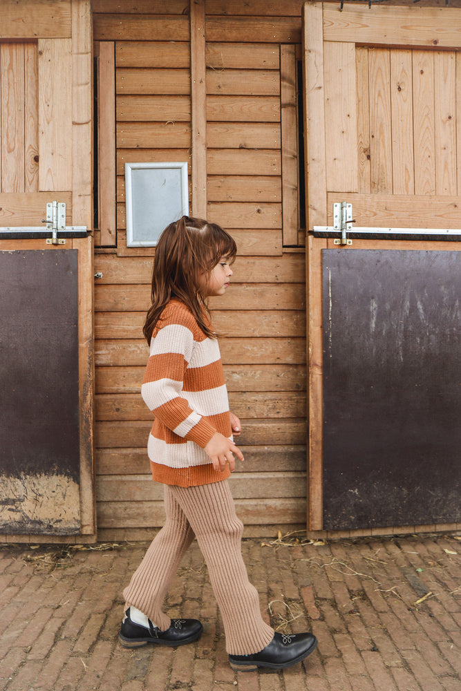 Eden Stripe Sweater (Unisex) 